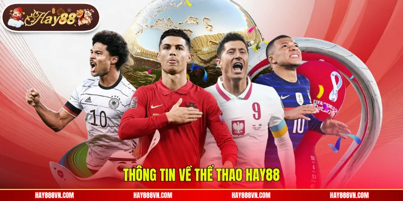 Thông tin về thể thao Hay88